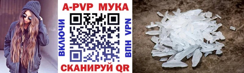 A PVP СК КРИС  Инта 