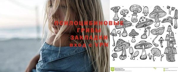 сатива Верхний Тагил