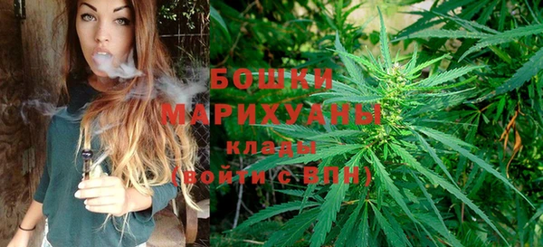 ECSTASY Горняк