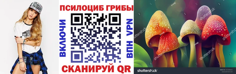 Псилоцибиновые грибы Psilocybe  как найти   блэк спрут как зайти  Инта 